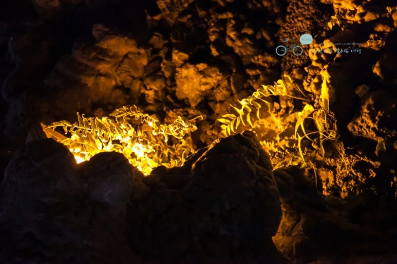 IMG_1234_Wide1080mark%EB%B0%94%EB%9E%8C.jpg?type=w773