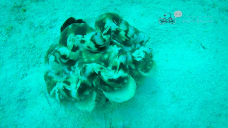 30_Wide1080mark%EB%B0%94%EB%9E%8C%ED%83%80%EA%B3%A0.jpg?type=w773