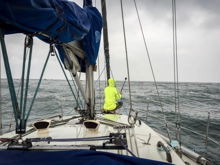 IMG_0939-_Wide1080mark%EB%B0%94%EB%9E%8C.jpg?type=w773