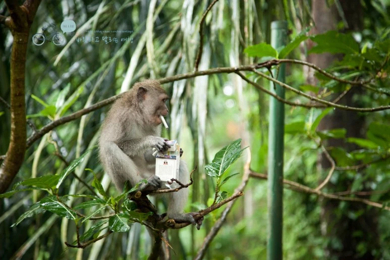 IMG_0163_Wide1080mark%EB%B0%94%EB%9E%8C%ED%83%80%EA%B3%A0-2.jpg?type=w773