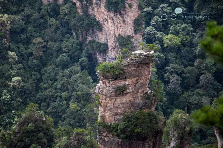 IMG_1289_Wide1080mark%EB%B0%94%EB%9E%8C.jpg?type=w773