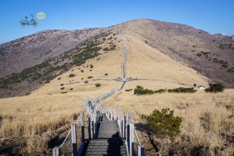 DSC04553_wide1080mark.jpg?type=w773