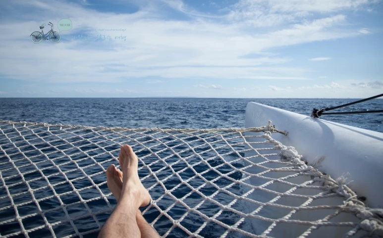 IMG_0160_Wide1080mark%EB%B0%94%EB%9E%8C%ED%83%80%EA%B3%A0-2.jpg?type=w773