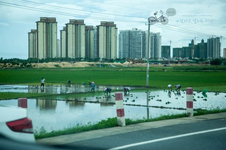 IMG_1570_wide1080%EB%B0%94%EB%9E%8Cmark.jpg?type=w773