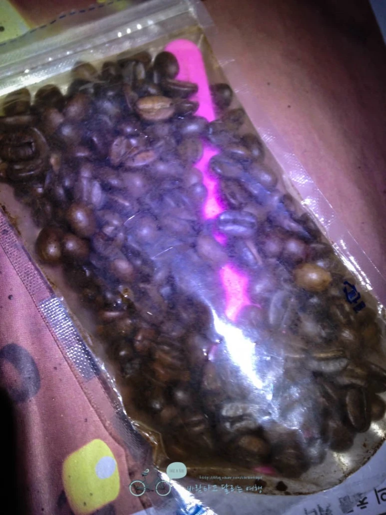 IMG_1127-_Wide1080mark%EB%B0%94%EB%9E%8C.jpg?type=w773