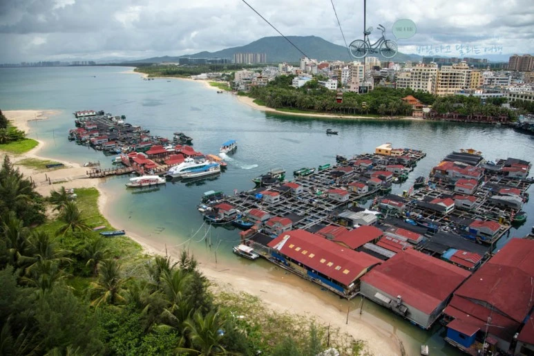 IMG_1221_wide1080%EB%B0%94%EB%9E%8Cmark.jpg?type=w773