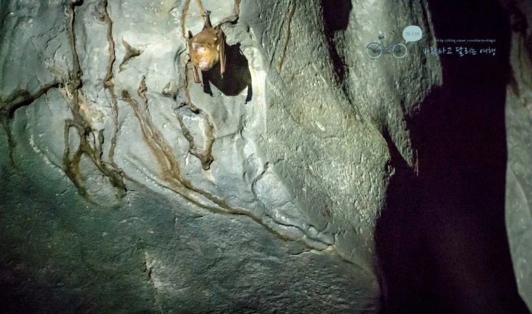 _1020883_Wide1080mark.jpg?type=w773