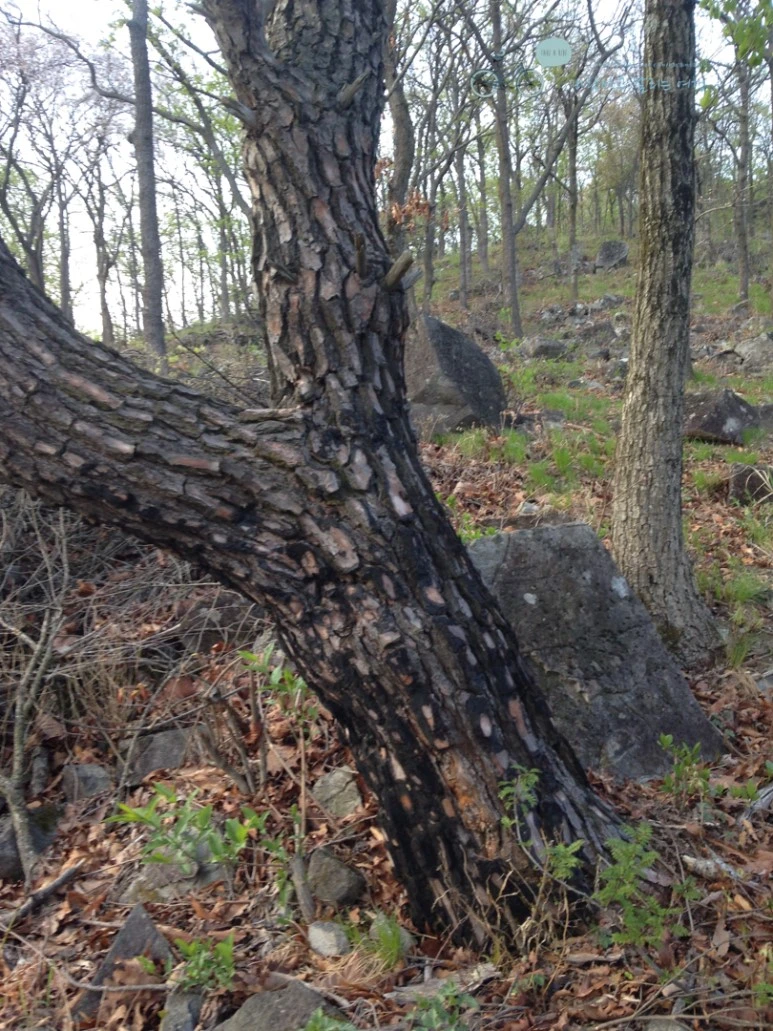 IMG_2088_Wide1080mark%EB%B0%94%EB%9E%8C.jpg?type=w773