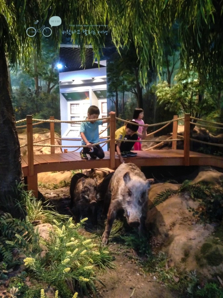 IMG_1796_wide1080mark.jpg?type=w773