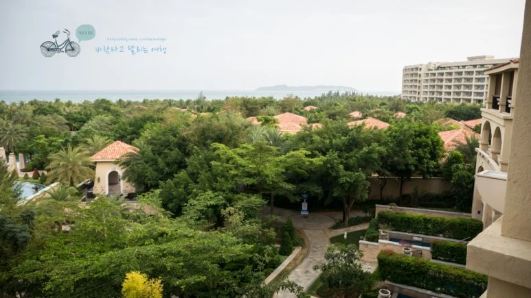 _1050636_wide1080mark.jpg?type=w773