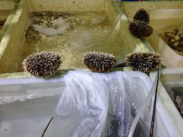 IMG_2729.JPG?type=w773