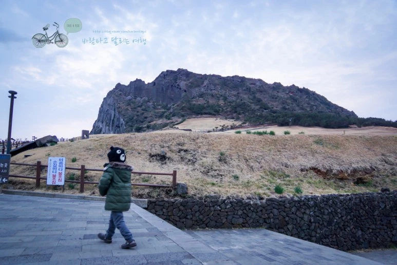 DSC00002_3.jpg?type=w773