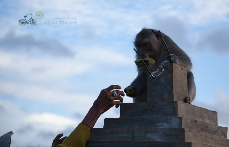 IMG_0647_Wide1080mark%EB%B0%94%EB%9E%8C%ED%83%80%EA%B3%A0.jpg?type=w773