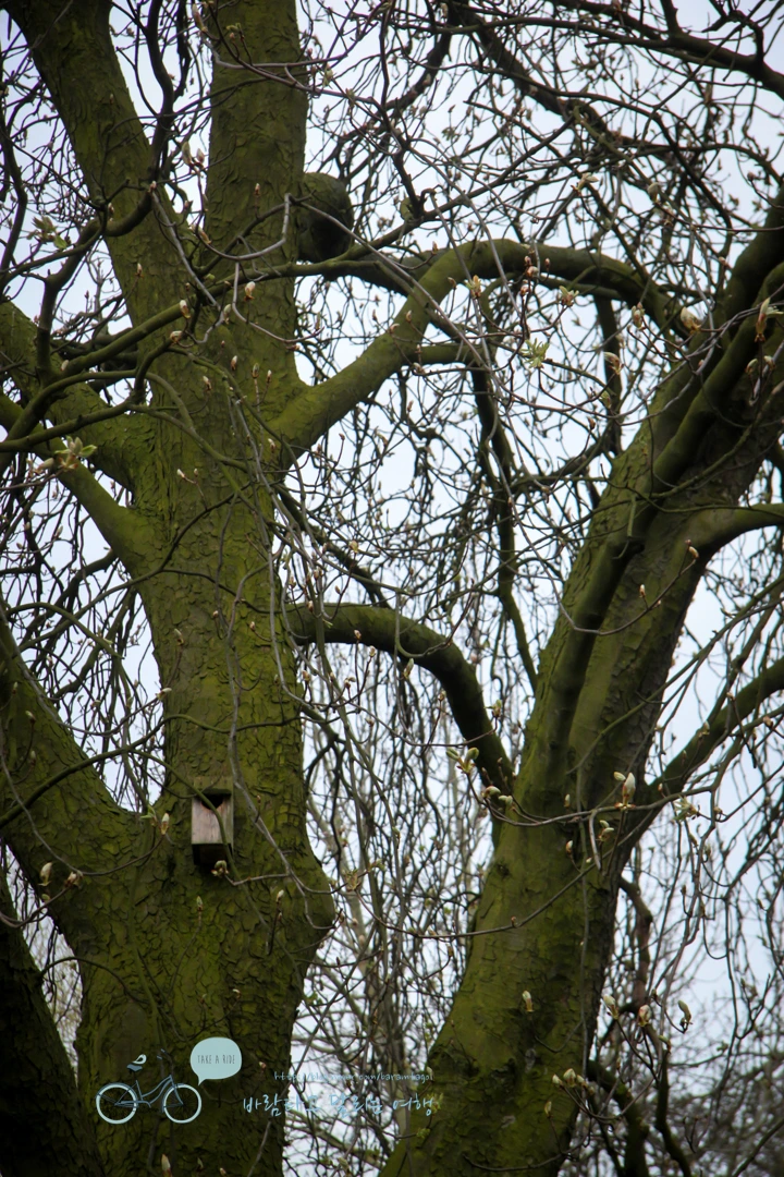 IMG_3019.jpg?type=w773