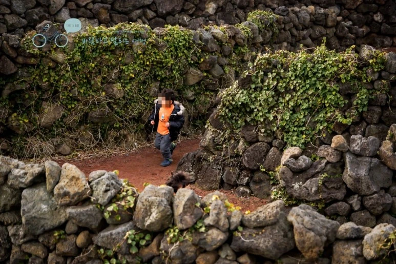 image_2051138621476775573903.jpg?type=w773