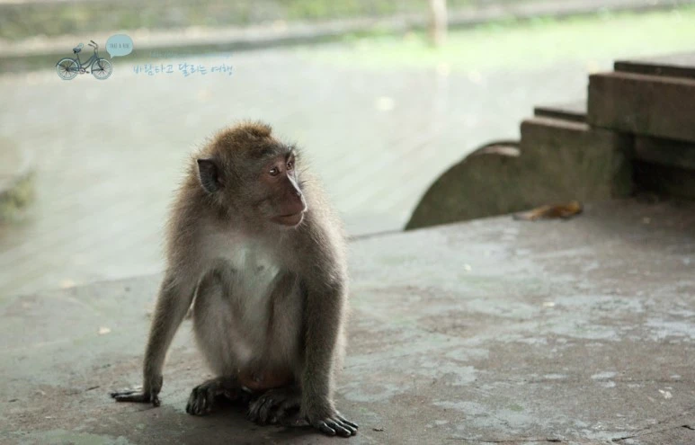 IMG_0180_Wide1080mark%EB%B0%94%EB%9E%8C%ED%83%80%EA%B3%A0-3.jpg?type=w773