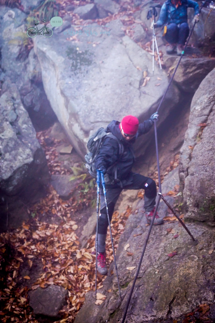 DSC05336_wide1080mark.jpg?type=w773