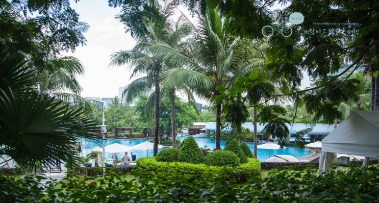 IMG_0493_wide1080%EB%B0%94%EB%9E%8Cmark.jpg?type=w773