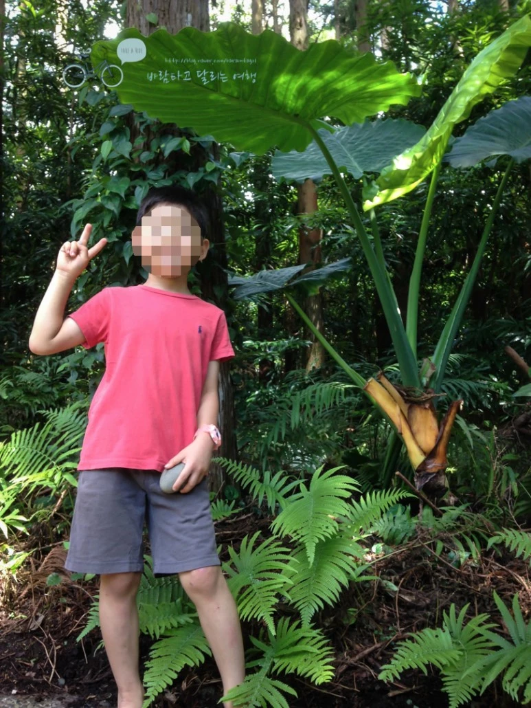 image_6800424381486605255726.jpg?type=w773