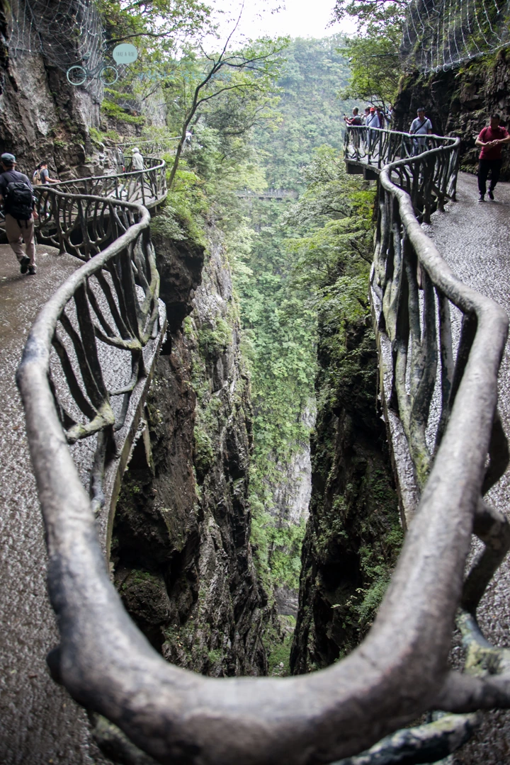 IMG_0204_Wide1080mark%EB%B0%94%EB%9E%8C.jpg?type=w773