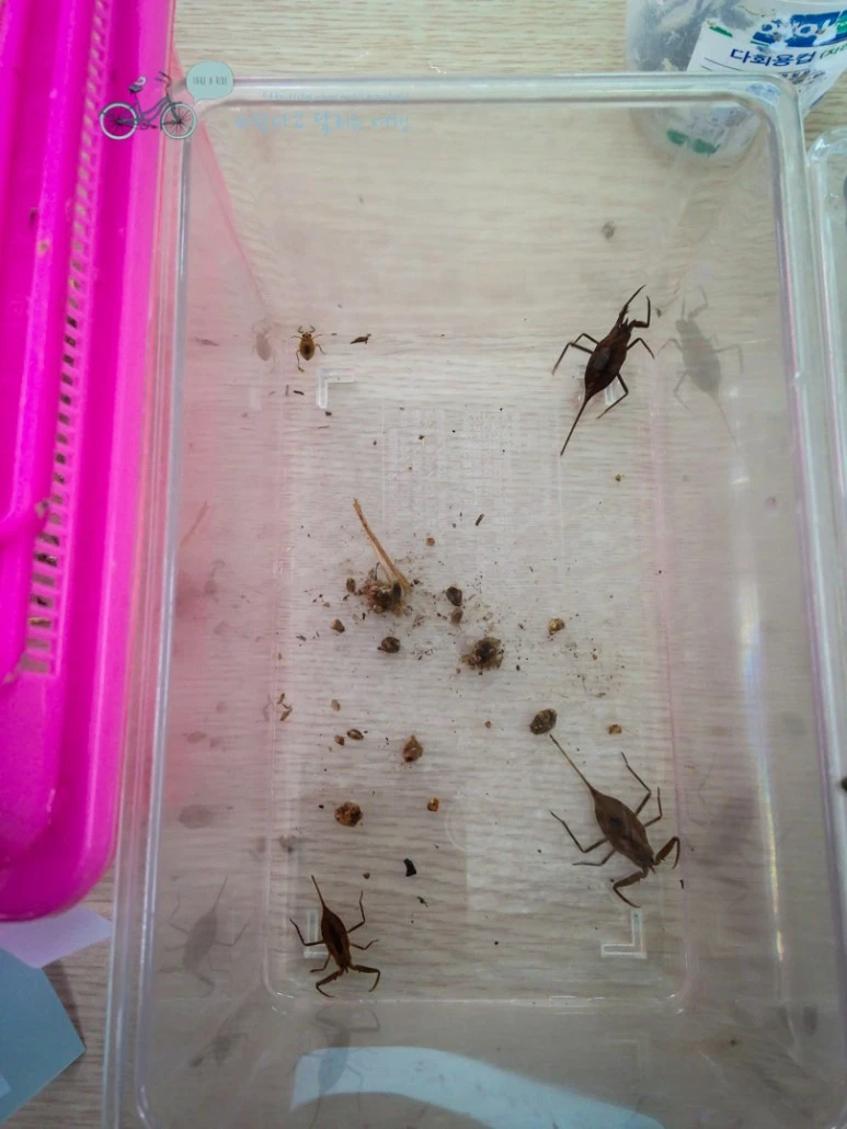 IMG_1033_wide1080mark.jpg?type=w773