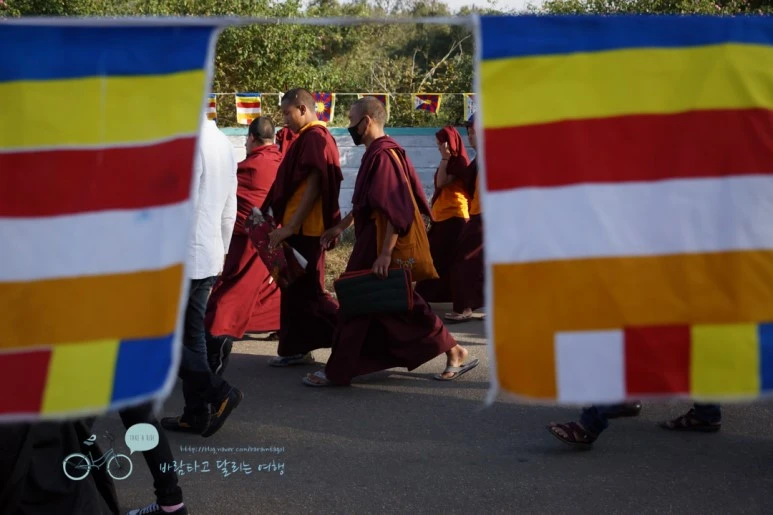 DSC00086.jpg?type=w773