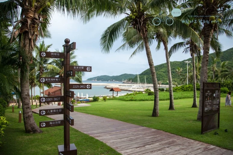 IMG_1762_wide1080%EB%B0%94%EB%9E%8Cmark.jpg?type=w773