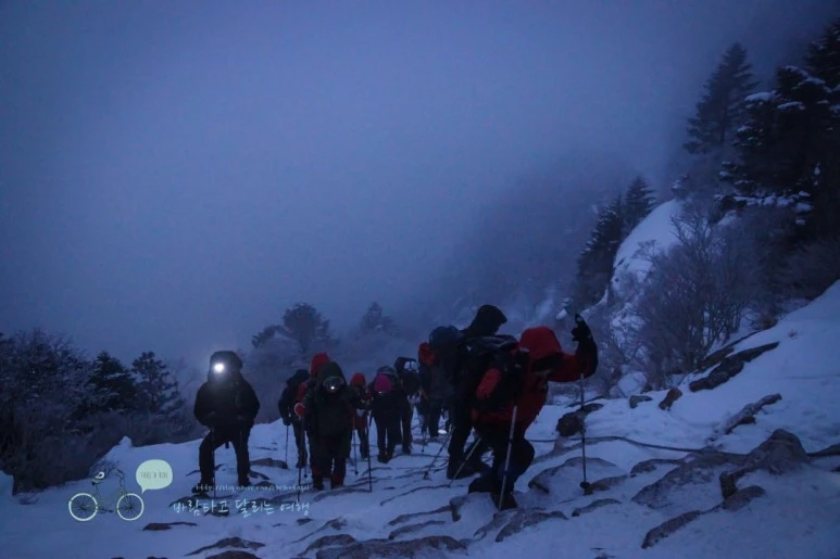 DSC00194.jpg?type=w773