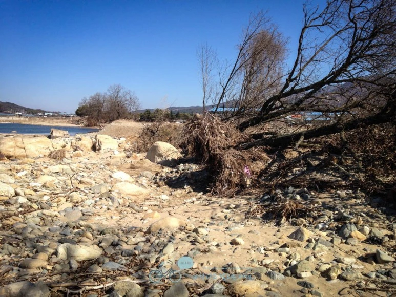 IMG_1750-_Wide1080mark.jpg?type=w773