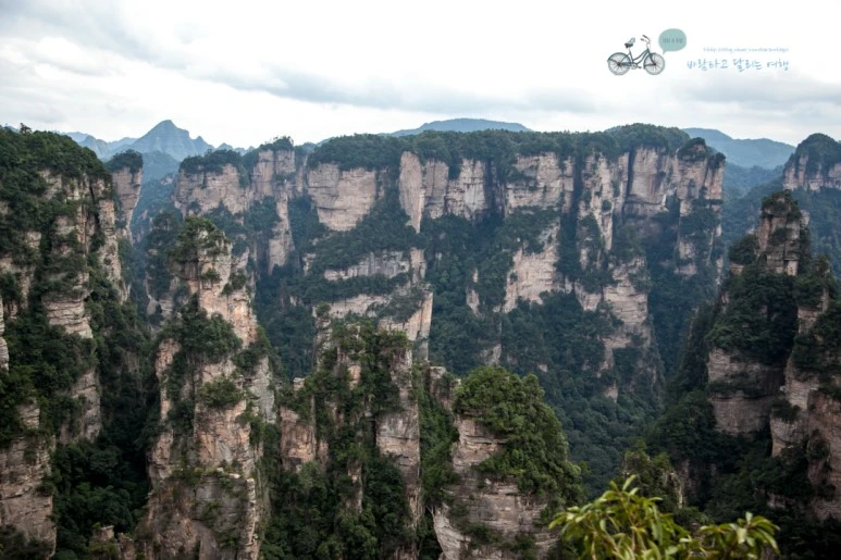 IMG_1306_Wide1080mark%EB%B0%94%EB%9E%8C.jpg?type=w773