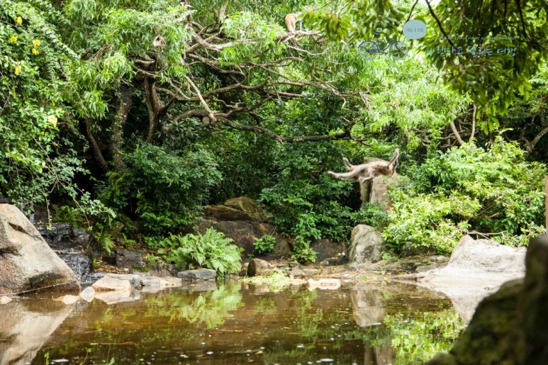 IMG_1417_wide1080%EB%B0%94%EB%9E%8Cmark.jpg?type=w773