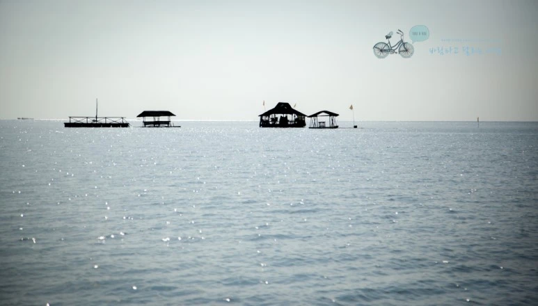 IMG_0305_Wide1080mark%EB%B0%94%EB%9E%8C%ED%83%80%EA%B3%A0.jpg?type=w773