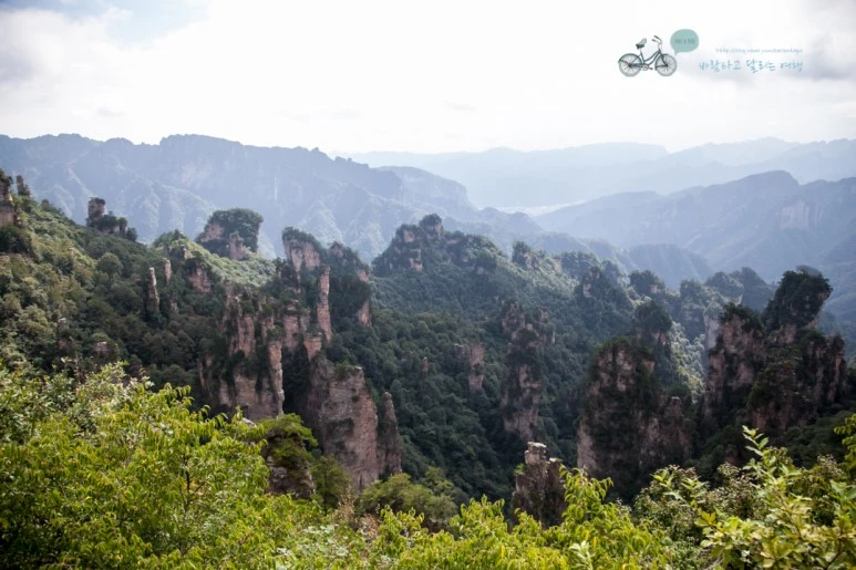 IMG_1189_Wide1080mark%EB%B0%94%EB%9E%8C.jpg?type=w773