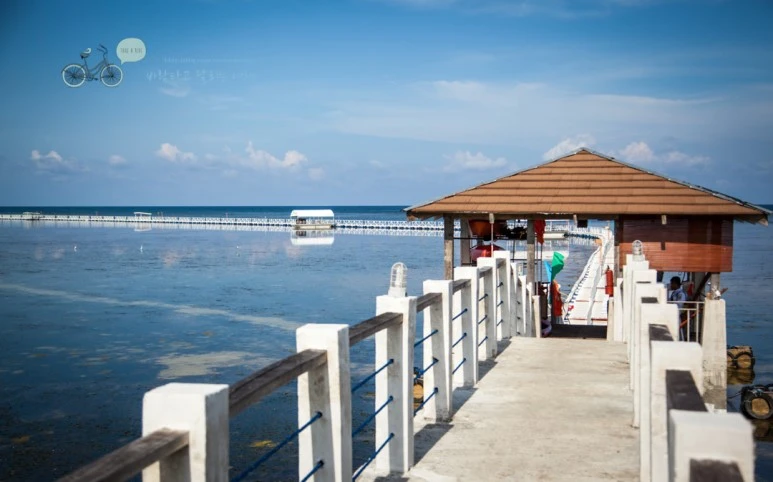 IMG_1093_Wide1080mark%EB%B0%94%EB%9E%8C%ED%83%80%EA%B3%A0.jpg?type=w773