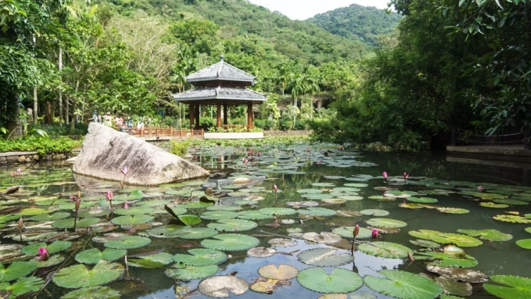 DSC05779_wide1080mark%EB%B0%94%EB%9E%8C.jpg?type=w773