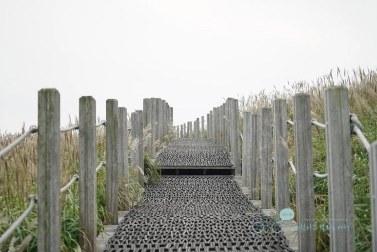 DSC00018_Wide1080mark.jpg?type=w773