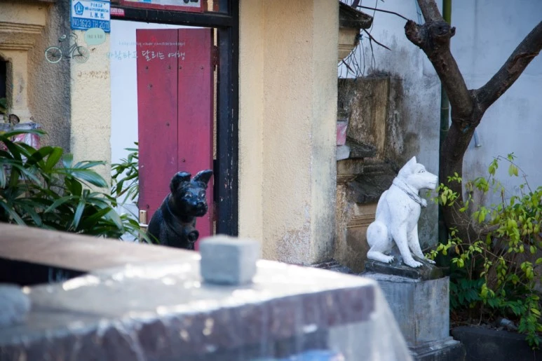 IMG_0102_Wide1080mark%EB%B0%94%EB%9E%8C%ED%83%80%EA%B3%A0.jpg?type=w773