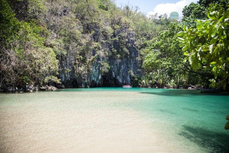 IMG_2093_Wide1080mark%EB%B0%94%EB%9E%8C%ED%83%80%EA%B3%A0.jpg?type=w773