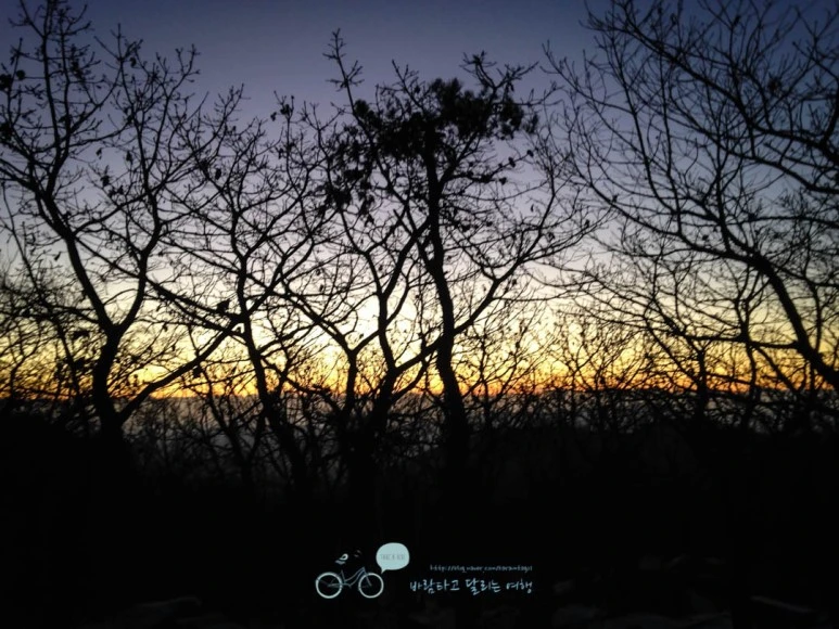 IMG_1352-_Wide1080mark%EB%B0%94%EB%9E%8C.jpg?type=w773