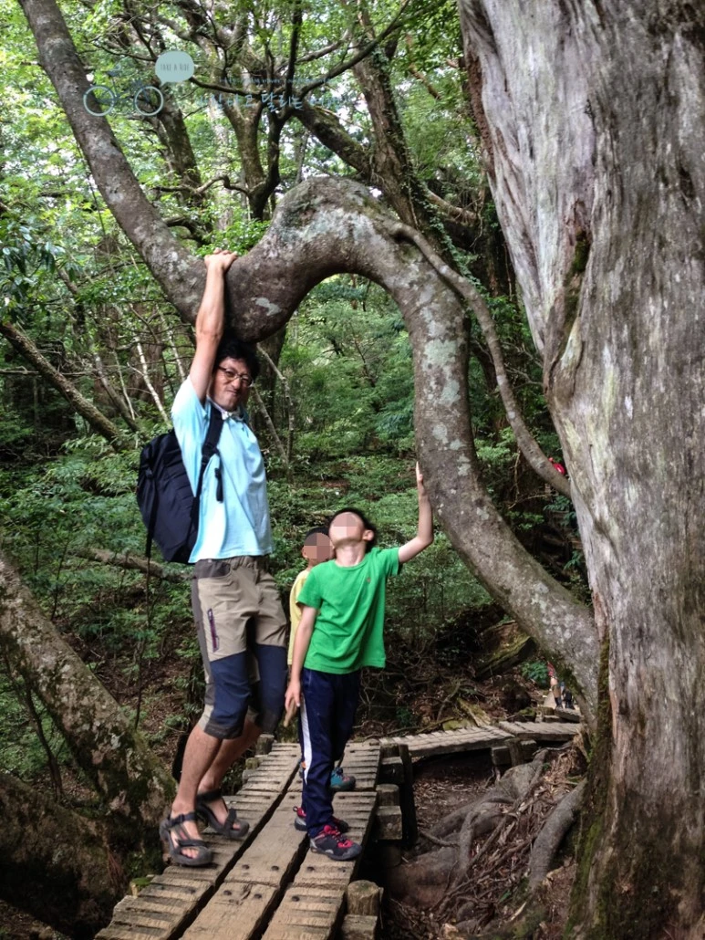 image_9638648151486446562038.jpg?type=w773