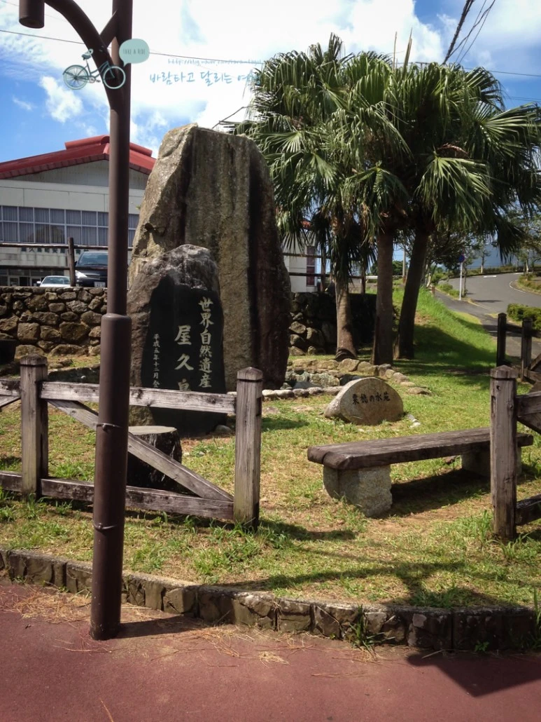 IMG_1538_wide1080mark.jpg?type=w773