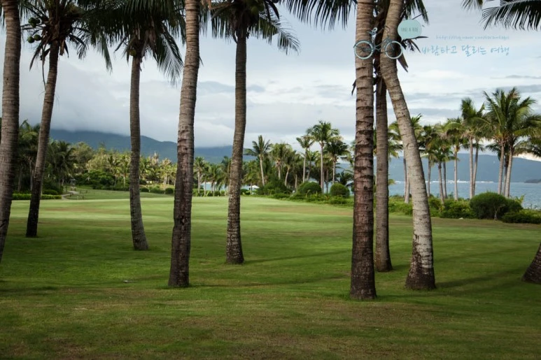 IMG_1805_wide1080%EB%B0%94%EB%9E%8Cmark.jpg?type=w773