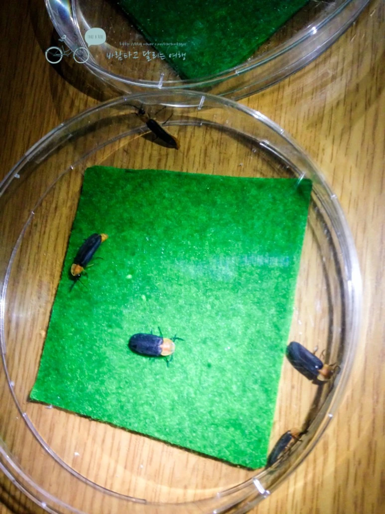 IMG_1662_wide1080mark.jpg?type=w773