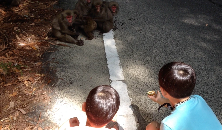 %EC%8A%A4%ED%81%AC%EB%A6%B0%EC%83%B7_2017-02-09_13.20.59.png?type=w773