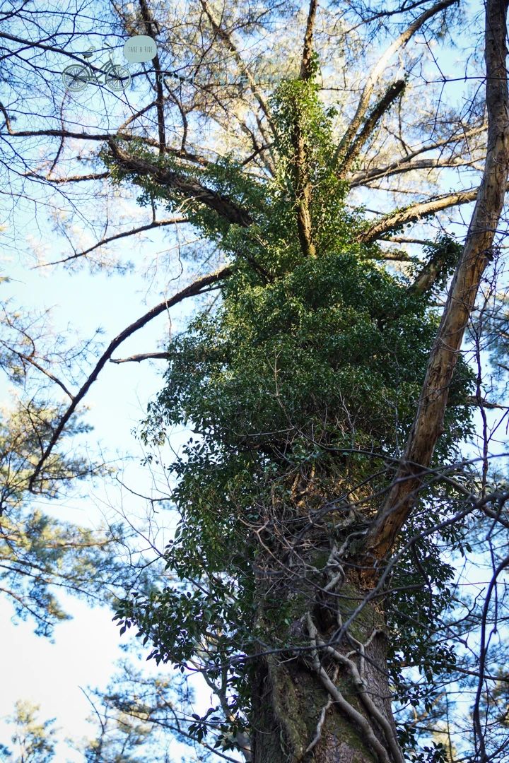 DSC00244_2.jpg?type=w773