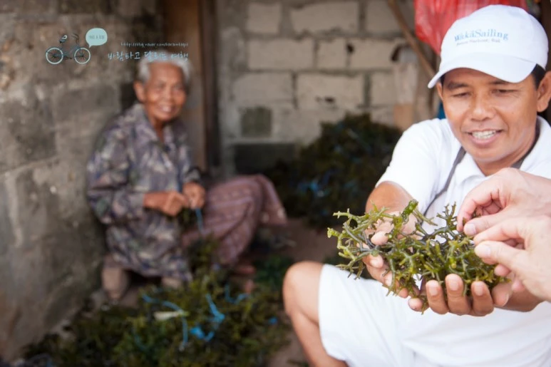 IMG_0150_Wide1080mark%EB%B0%94%EB%9E%8C%ED%83%80%EA%B3%A0.jpg?type=w773