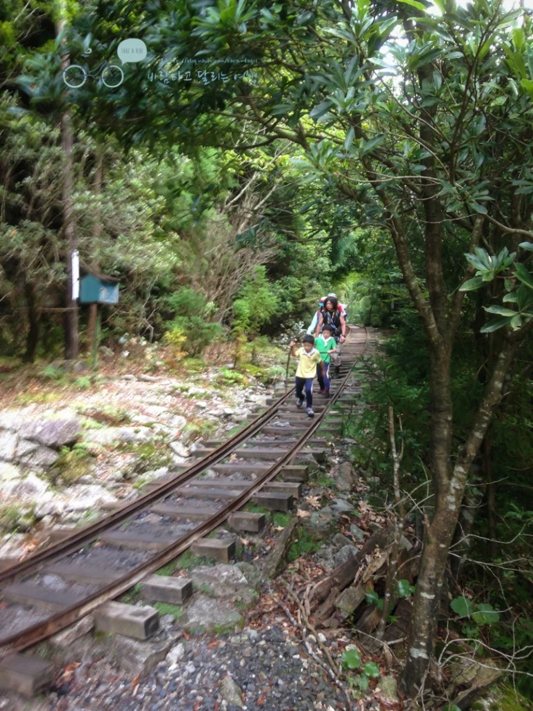 IMG_1243_wide1080.jpg?type=w773