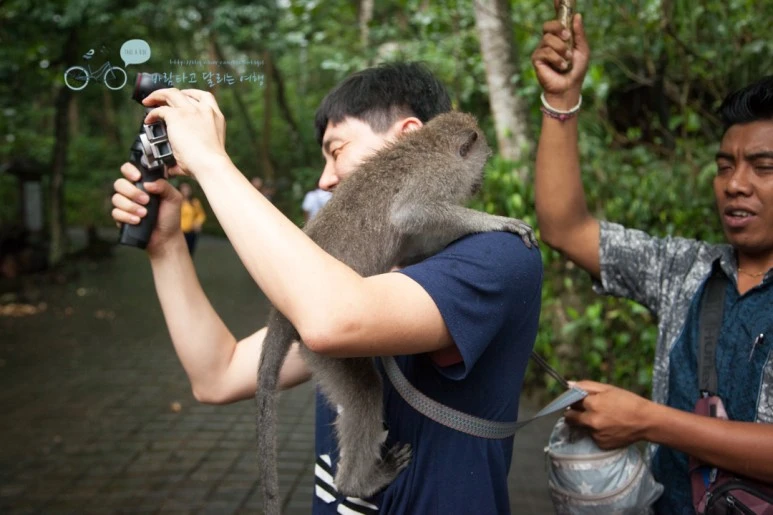 IMG_0141_Wide1080mark%EB%B0%94%EB%9E%8C%ED%83%80%EA%B3%A0-2.jpg?type=w773