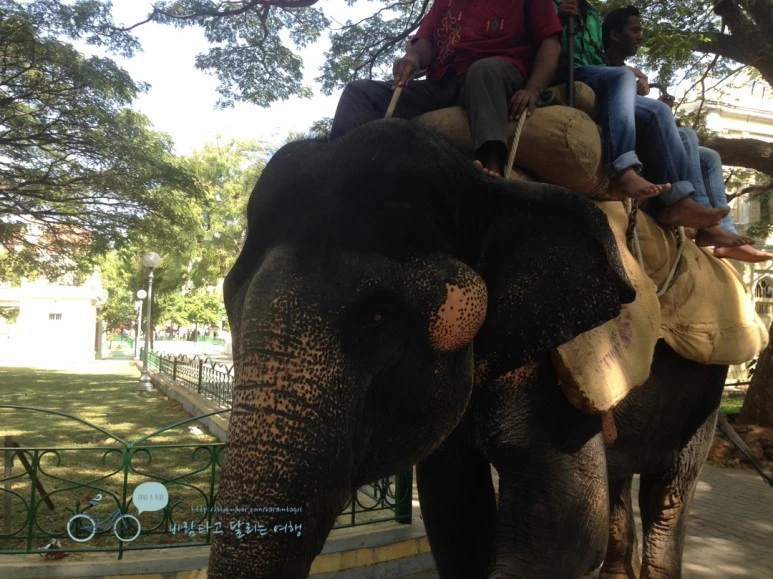 IMG_2856.jpg?type=w773