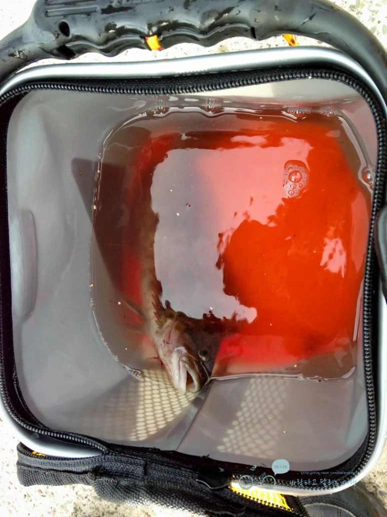 IMG_0971-_Wide1080mark%EB%B0%94%EB%9E%8C.jpg?type=w773